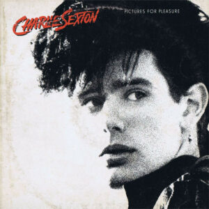 Charlie Sexton ‎– Pictures For Pleasure