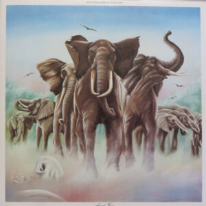Elvis Costello & The Attractions ‎– Armed Forces