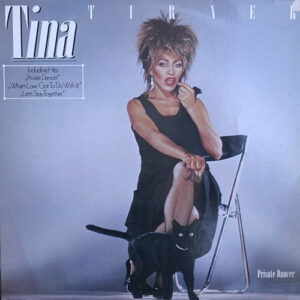 Tina Turner ‎– Private Dancer