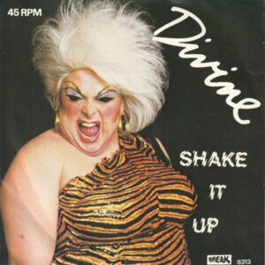 Divine ‎– Shake It Up