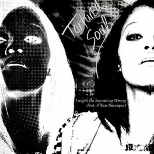 Tortured Soul Feat. N'Dea Davenport – I Might Do Something Wrong(Promo CD ROM)
