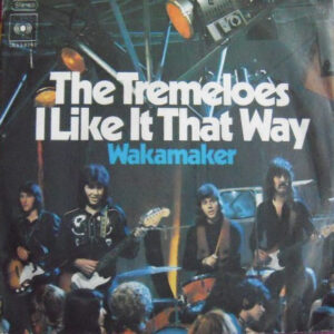 The Tremeloes – I Like It That Way