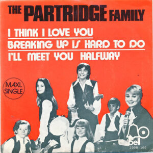 The Partridge Family – I Think I Love You
