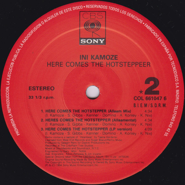 Ini Kamoze – Here Comes The Hotstepper - Image 4