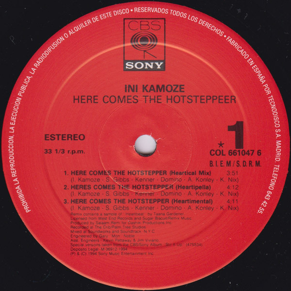 Ini Kamoze – Here Comes The Hotstepper - Image 3