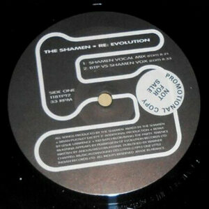 The Shamen With Terence McKenna – Re: Evolution