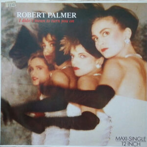 Robert Palmer – I Didn't Mean To Turn You On