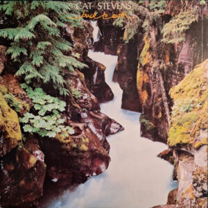 Cat Stevens – Back To Earth