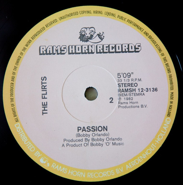 The Flirts – Passion (Special R.E.M.I.X.E.D. Disco Version) - Afbeelding 2